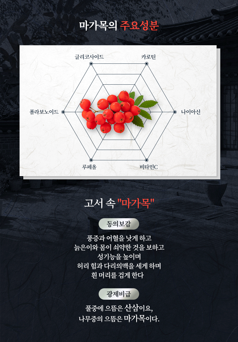 마가보감 마가목 원료 상세 소개